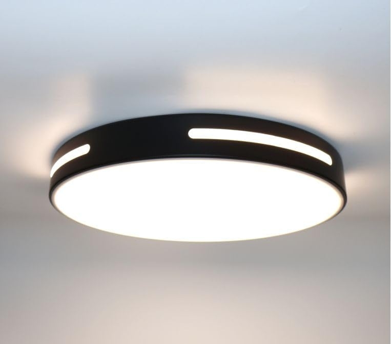 1047 Plafón de Techo LED 40W Lacado negro Ø40cm - Imagen 2